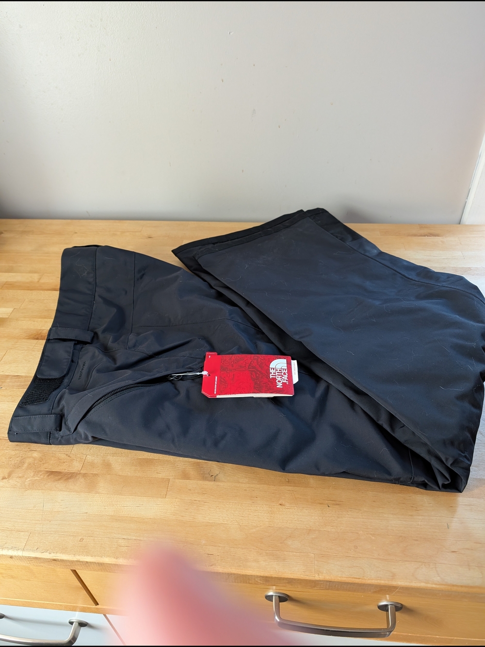 The North Face Black Freedom Mountain sports  Ski Pants M NWT